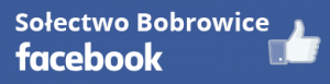 Facebook Sołectwo Bobrowice